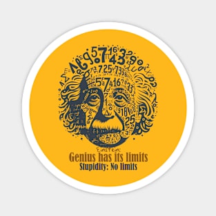 Einstein genius vs stupidity Magnet